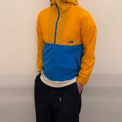 THE NORTH FACE ザノースフェイス ジャパン ゴープコア ウィンドブレーカー