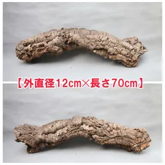 2026年最新】コルク樹皮 キャノンの人気アイテム - メルカリ
