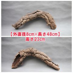 W663 ポルトガル産 キャノンコルク コルク樹皮 コルク板 バージン