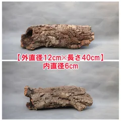 2026年最新】コルク樹皮 キャノンの人気アイテム - メルカリ