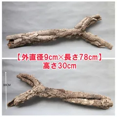 2026年最新】コルク樹皮 キャノンの人気アイテム - メルカリ