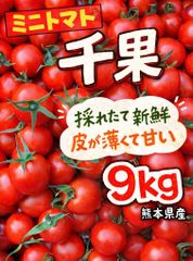 熊本県産ミニトマト 9kg 千果 甘くて美味しい！- メルカリ