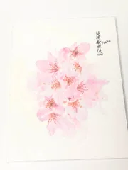 新品未開封 Snow Man パンフレット 滝沢歌舞伎ZERO FINAL