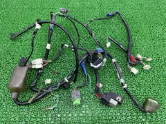 2026年最新】メインハーネス ズーマーの人気アイテム - メルカリ