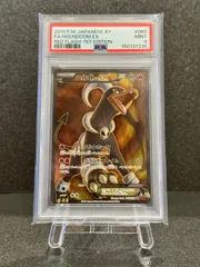 ヘルガーEX SR XY8 赤い閃光 060/059 ヘルガーEX SR [赤い閃光] XY8 060/059 買取 | ポケモンカード買取なら