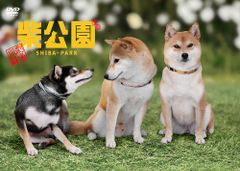 극장판 시바 공원 [DVD] [신품] [패키지 퇴색]