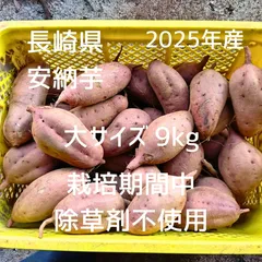 【大サイズ】長崎県産 さつまいも 安納芋 9kg 栽培期間中除草剤不使用