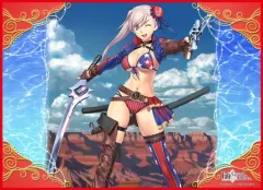 2026年最新】Fate/Grand Order バーサーカー/宮本武蔵の人気アイテム
