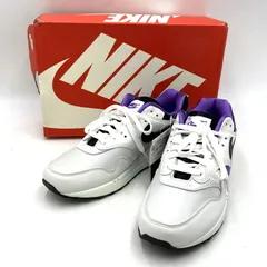 【中古品】NIKE ナイキ AIR MAX 1 DNA CH.1 AR3863-101 エア マックス 1 DNA CH.1 スニーカー シューズ 靴 【160-260420-as-34-izu】