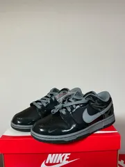 新品 NIKE DUNK LOW RETRO QS　fz3053-001
