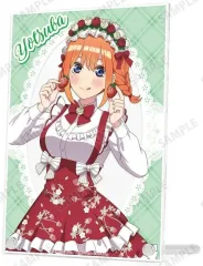 【中古】アクリルスタンド・アクリルパネル 中野四葉 描き下ろし ショートケーキイメージコーデver. A5アクリルパネル 「五等分の花嫁＊ アニメイトフェア」