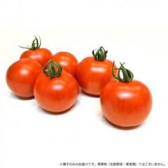 katazuke様専用です‼️熊本県産 農家直送 訳ありトマト9kg以上 - メルカリ