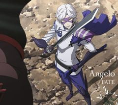 신품 FATE