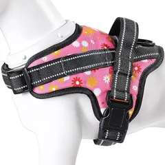 【新品】 【新登場犬ハーネス特許取得】BaoCheng 犬用胴輪 小型犬/中型犬/大型犬ハーネス 喉に優しい ネームプレートポケット 可愛い 着脱簡単 調整可能 11色選択可能(ピンクデイジー,XL) 0のサムネイル