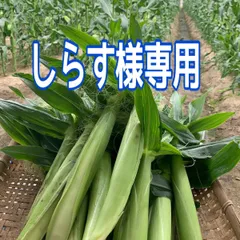 🌽しらす様専用ページとなります❕
