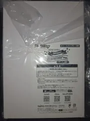 初音ミク Summer ver フィギュア (オンライン クレーム)