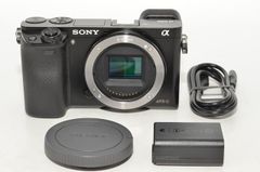 α6500 シャッター:16,058回 バッテリー5個・純正ケース付き - メルカリ