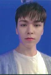 SEVENTEEN 2022HANABI VERNON トレーディングカード 0103