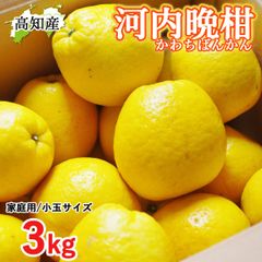 ましゃましゃ様　湘南ゴールドご家庭用3kg ましゃましゃ様 湘南ゴールド良品ご家庭用3kg | Mercari