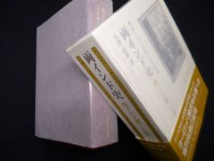 両インド史 西インド篇 中巻 ギヨーム=トマ・レーナル/大津真作 訳