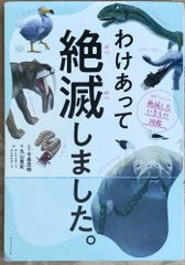 ナイトメアキャッスル ファイティング・ファンタジー (アドベンチャー