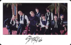 StrayKids 集合 ALL IN OFFICIAL GOODS ポラロイド