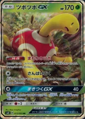013/095/SM8/RR ツボツボGXのサムネイル