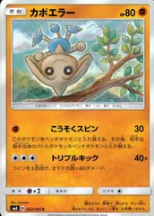 052/095/SM8 カポエラーのサムネイル