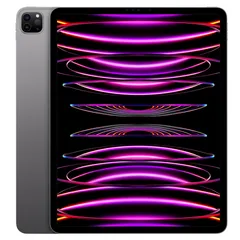<C10-2> Apple iPad Pro (第6世代)  Wi-Fi 512GB スペースグレイ