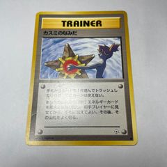 シバのハガネール ポケモンカード☆VS Bruno's Steelix Pokémon VS