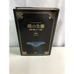 蝴蝶的生態 木庭宏