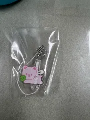 Stray Kids(ストレイキッズ・スキズ・SKZ) ファンミーティング 入場 キーホルダー ジニレット