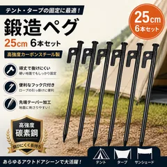 テントペグ 25cm 6本セット カーボンスチール製 高強度 1本140g 重量ペグ 強風対応 抜けにくい 頑丈設計 ハード地面対応 キャンプ アウトドアのサムネイル