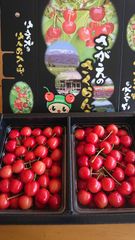 クール便 やまがた紅王 特秀品3L300g - メルカリ