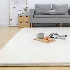 【特価商品】Colorsroom カーペット ラグ 極厚25mm 185×185cm 約2畳 クッションラグ 防音 厚手 撥水加工 防ダニ 抗菌 防臭 低ホルム もちもち ふわっと手触り ホットカーペット対応 低反発と同じ厚み ラグマット こたつ敷きマット リのサムネイル