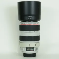 2026年最新】EF70-300mm F4-5.6 IS USM 2の人気アイテム - メルカリ