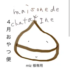 miz様専用　おやつ便　シフォンケーキサンド　チーズケーキ　テリーヌ