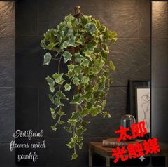 光触媒 観葉植物 ウォールグリーン フェイクグリーン セージアイビー 