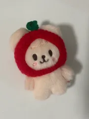 SKZOO PuppyM(パピーム) KkongM(콩키주) スンミン(SEUNGMIN) skz Stray Kids(ストレイキッズ・スキズ・SKZ) トレカ