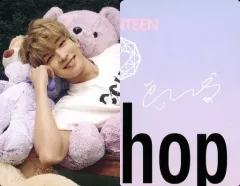 【中古】コレクションカード(男性) SEVENTEEN/WONWOO(ウォヌ)/裏面ピンク・印刷サイン入り/「Dicon PHOTOCARD101 SEVENTEEN」フォトカード