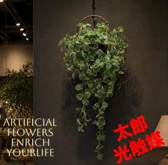 光触媒 観葉植物 ウォールグリーン フェイクグリーン ハンギングフィロ 