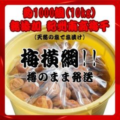 ○人気爆発！紀州南高梅 樽 10kg 梅 無添加 和歌山 紀州 白梅 2606 