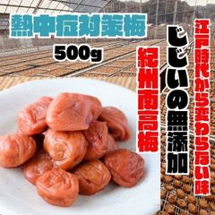 ◇人気爆発！紀州南高梅 500g 無添加 和歌山 紀州 白梅 2905 - メルカリ
