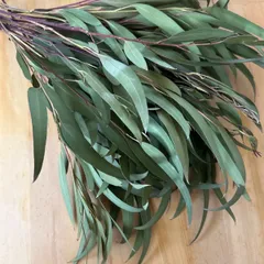 在庫処分　ユーカリ　ドライフラワー