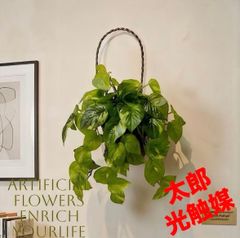 光触媒 人工観葉植物 ウォールグリーン フェイクグリーン フィロ