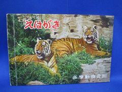 長野県 閉業 玩具店 チラシ 2点 昭和 レトロ おもちゃ カタログ 広告