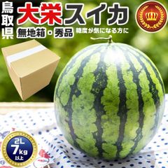 西瓜スイカ 美味しい 特大 2玉入り 箱込み16Kg - メルカリ