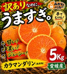 有田産カラマンダリン（南津海）家庭用訳あり品。総重量5kg サイズ おまかせ。 訳ありカラマンダリン 5kg 手でむける 愛媛産 - メルカリ