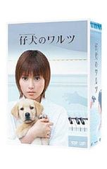 子犬のワルツ DVD4巻セット 野島伸司 安倍なつみ - メルカリ