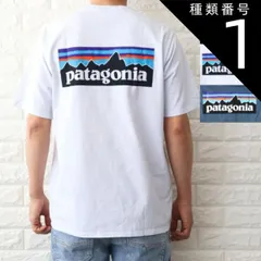 種類1:ホワイト/XS 種類1:WHITE（WHI）/XS パタゴニア Tシャツ メンズ P-6ロゴ レスポンシビリティー ホワイト ブラック ブルー 38504